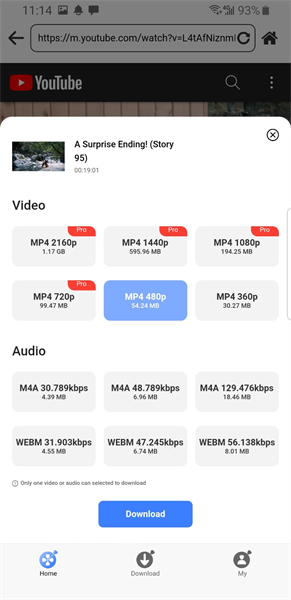 Select Output Quality and Format